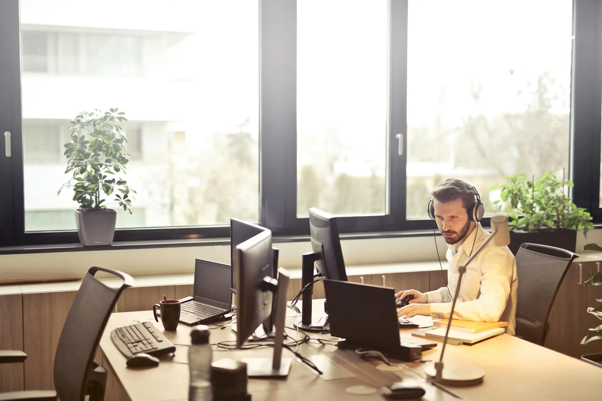 Lavoro creativo e strategico da Dojo Agency